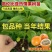 广西冰糖心木瓜苗矮化特大南方四季耐寒庭院种植当年结果树苗