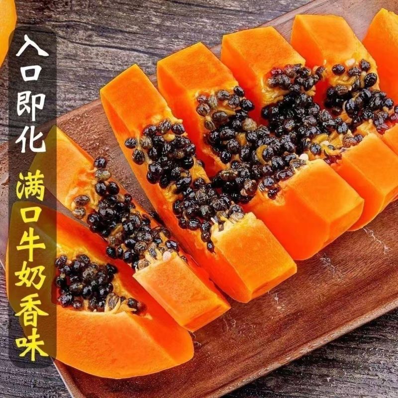 广西冰糖心木瓜苗矮化特大南方四季耐寒庭院种植当年结果树苗