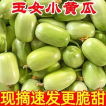 一件代发【金童玉女小黄瓜】对接各大电商平台抖音快手视频号