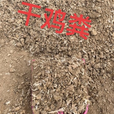 干鸡粪