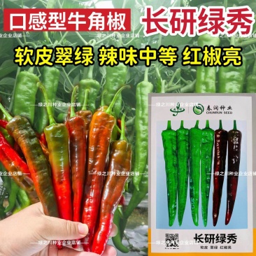 长研绿秀辣椒种子口感型牛角椒种籽产量高中辣早熟软皮辣椒种