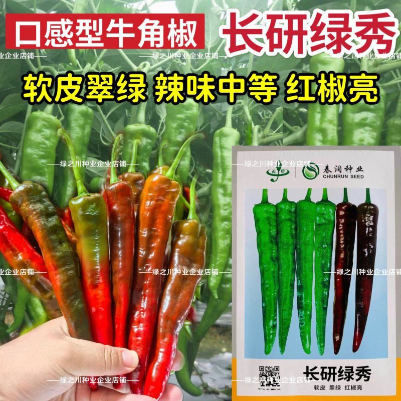 长研绿秀辣椒种子口感型牛角椒种籽产量高中辣早熟软皮辣椒种