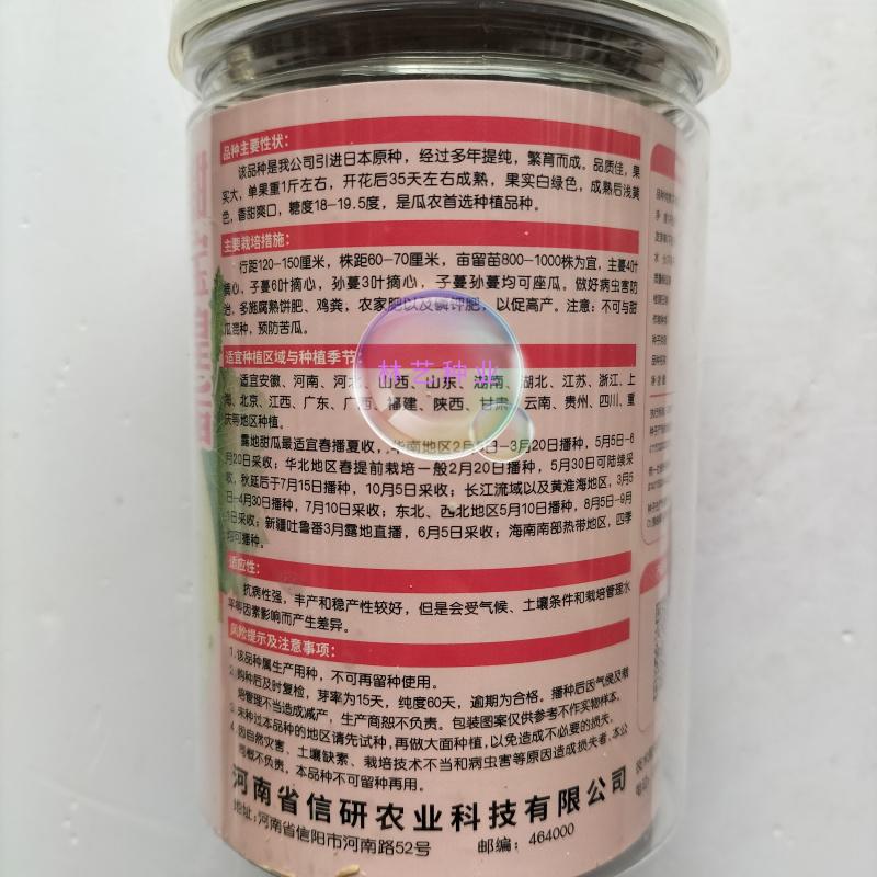 信研皇后甜宝杂交一代甜瓜种子高产高甜香瓜种籽不裂果