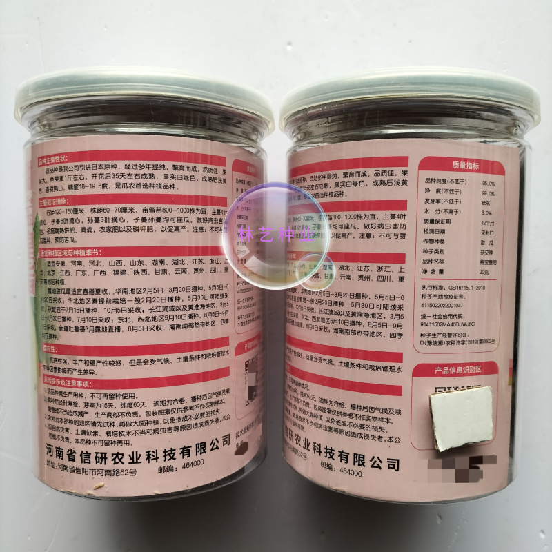 信研皇后甜宝杂交一代甜瓜种子高产高甜香瓜种籽不裂果