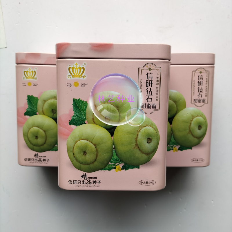 信研钻石甜蜜蜜甜瓜种子早熟大果香甜高糖香瓜种籽甜宝甜瓜种