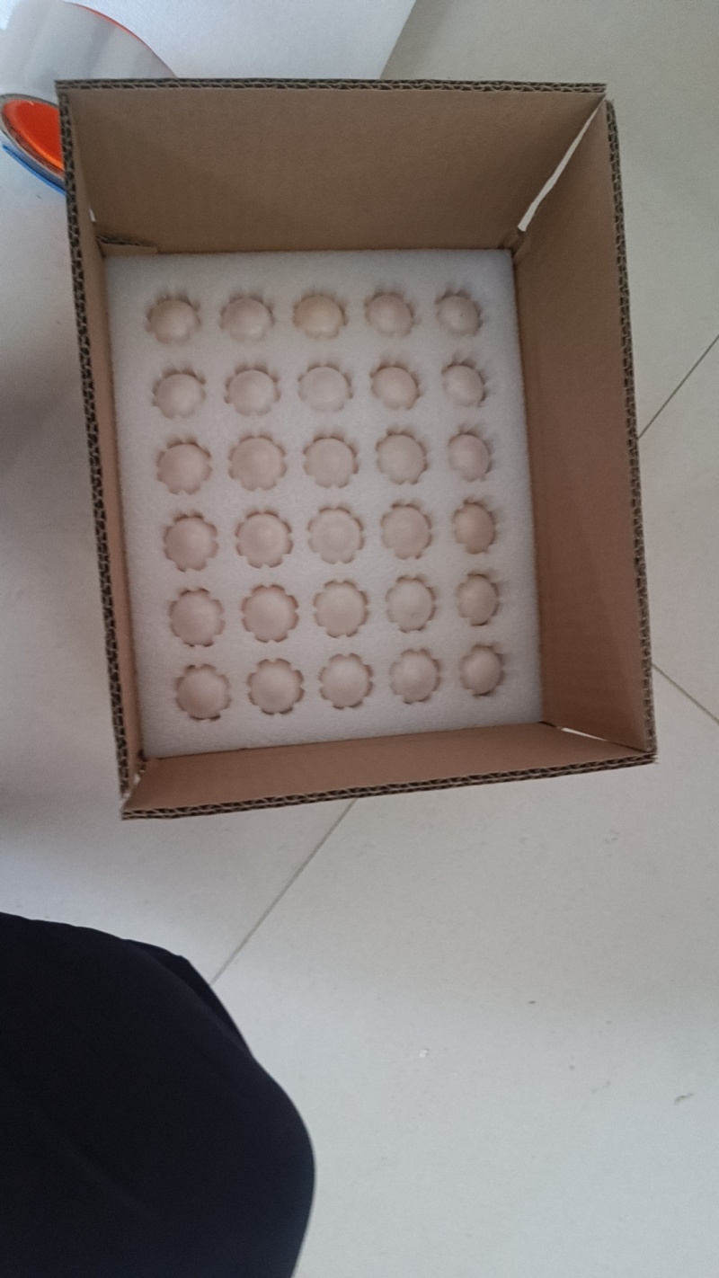 农家鸽子蛋，杂粮喂养，蛋清透明，口感细腻。老少皆宜。