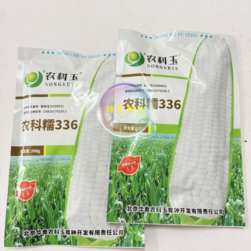 农科糯336白甜糯玉米种子白玉米种籽鲜食水果糯甜玉米