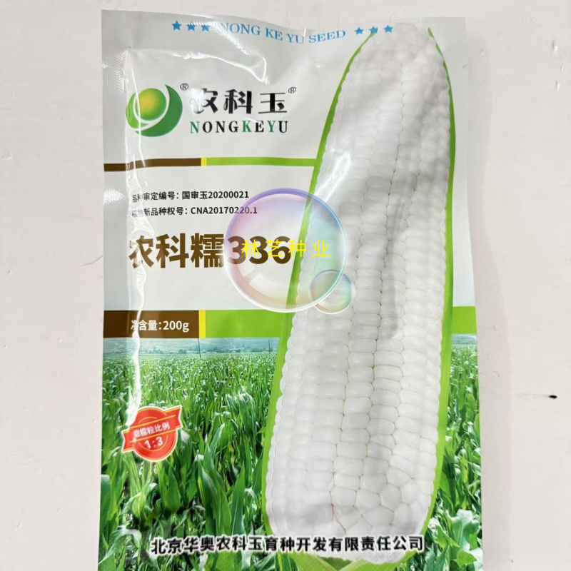 农科糯336白甜糯玉米种子白玉米种籽鲜食水果糯甜玉米
