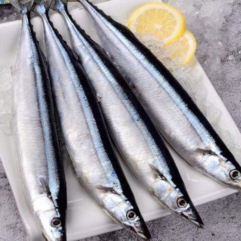秋刀鱼鲜新鲜冷冻深海海鲜烧烤食材日式秋刀鱼鲜活水