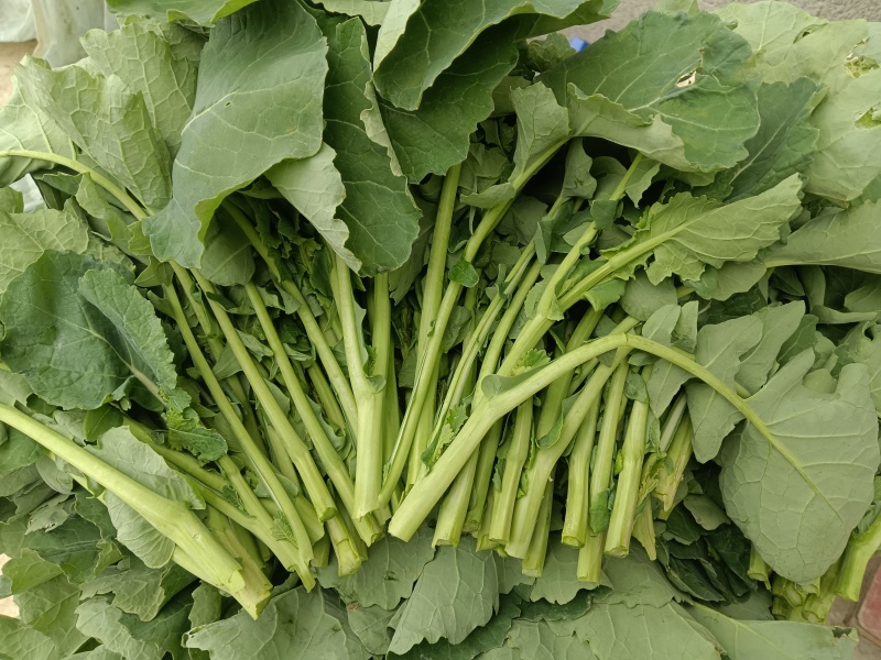 恩施富硒油菜苔