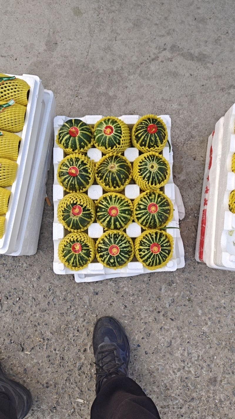 博洋六一九号大量上市一手货源对接各大市场商超电商品质保证
