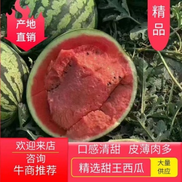 头茬西瓜薄皮红瓤甜王西瓜包熟包甜地头直发