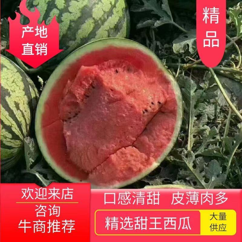 头茬西瓜薄皮红瓤甜王西瓜包熟包甜地头直发