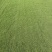 台湾草