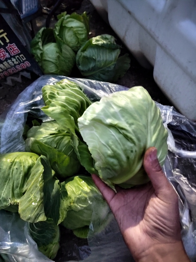 食堂