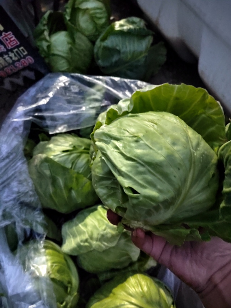 食堂