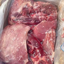 内蒙牛前牛后腿肉，量大优惠