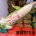 新鲜花糯玉米大量上市全国发货，欢迎进店沟通