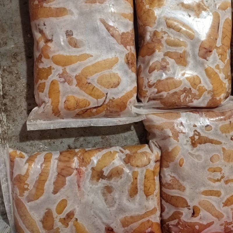 鲈鱼子精品
