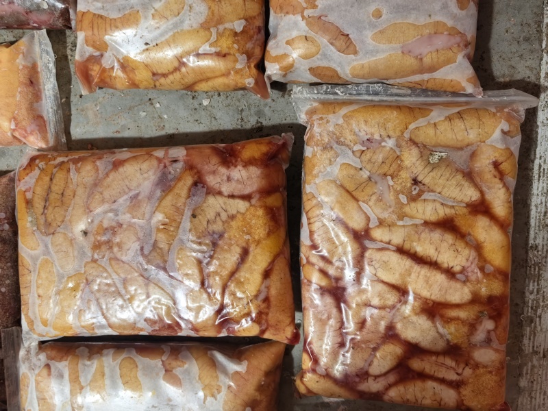 鲈鱼子精品