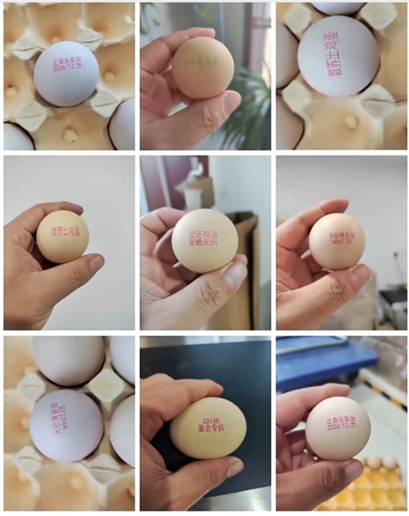 喷码鸡蛋可喷富硒虫草蛋富硒无抗蛋艾草鸡蛋公司**等