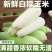 白黄糯玉米大量上市，全国发货，欢迎进店沟通