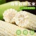 白黄糯玉米大量上市，全国发货，欢迎进店沟通