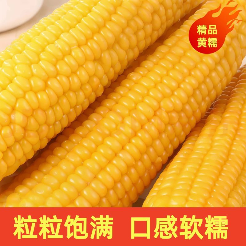 白黄糯玉米大量上市，全国发货，欢迎进店沟通