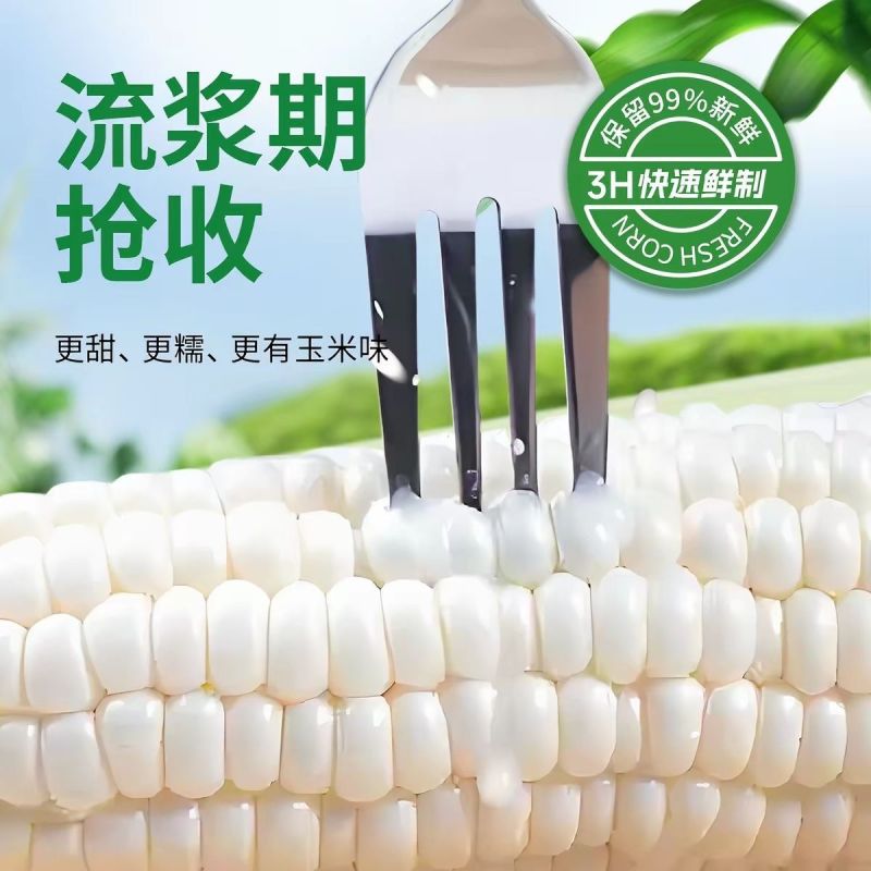 白黄糯玉米大量上市，全国发货，欢迎进店沟通