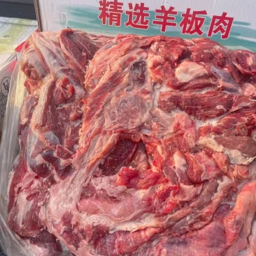 内蒙羊板肉，量大优惠。现货现发