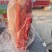 内蒙羊板肉，量大优惠。现货现发