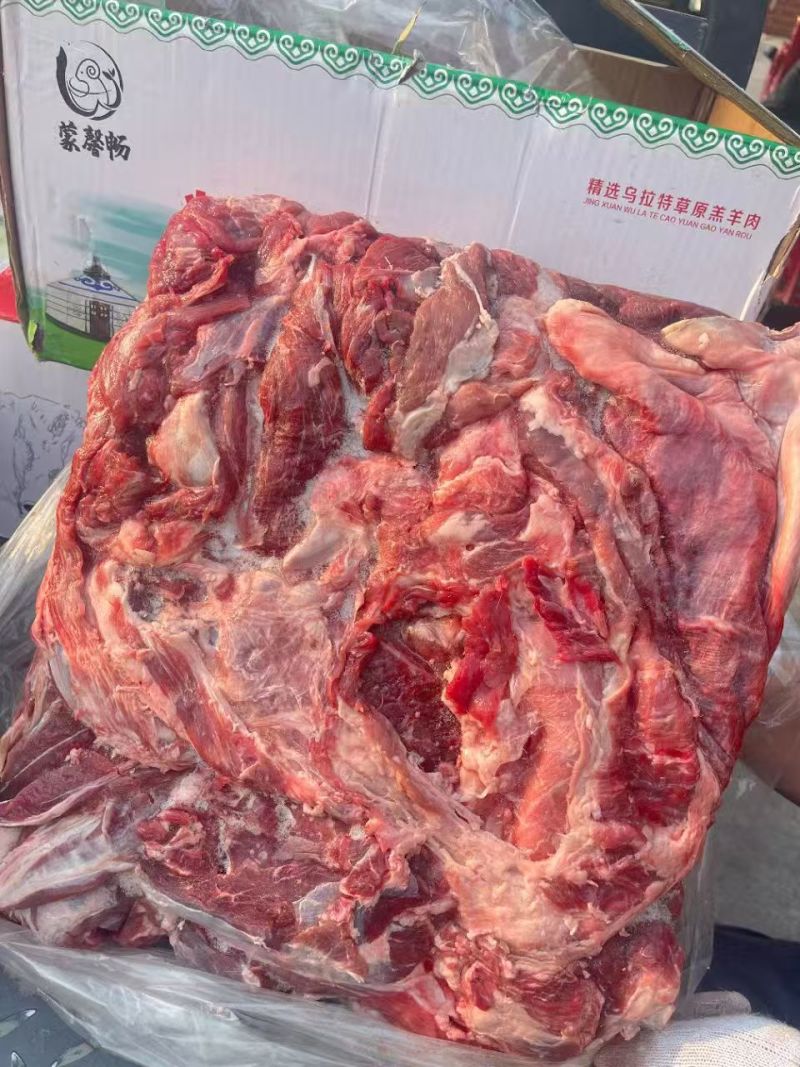 内蒙羊板肉，量大优惠。现货现发