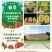 芝麻香瓜种植基地