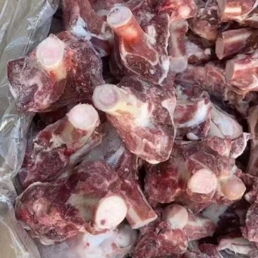 多肉羊棒骨，性价比高，现货现发