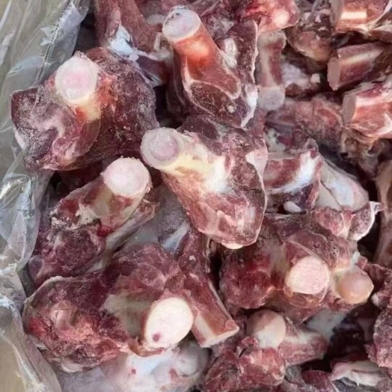 多肉羊棒骨，性价比高，现货现发