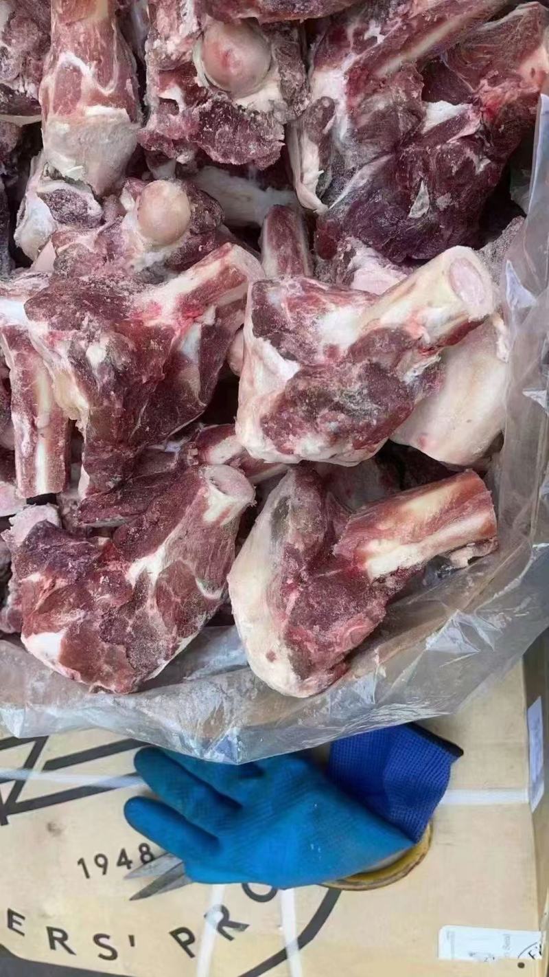 多肉羊棒骨，性价比高，现货现发
