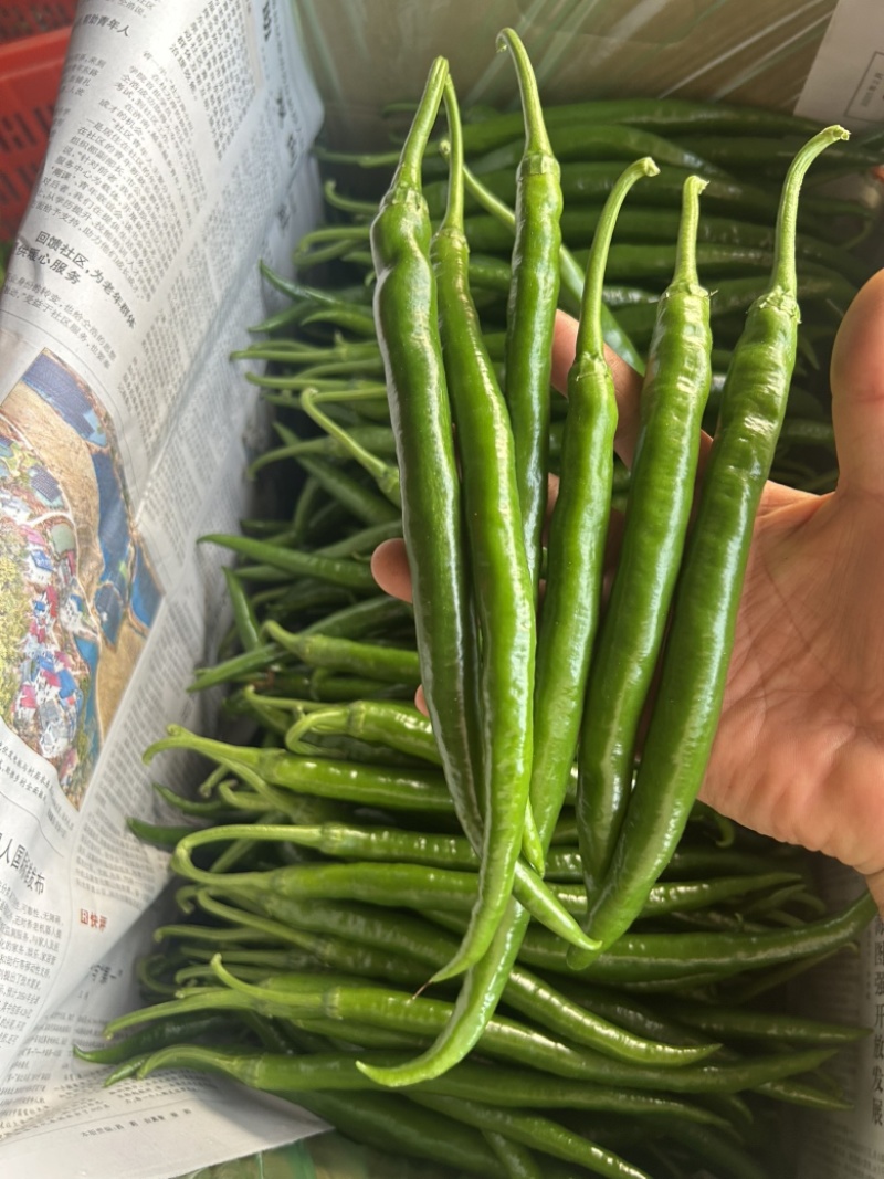 三号线…八号线