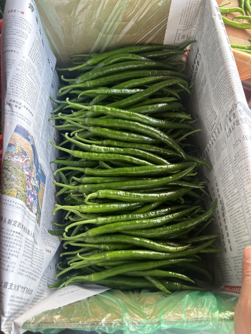 三号线…八号线