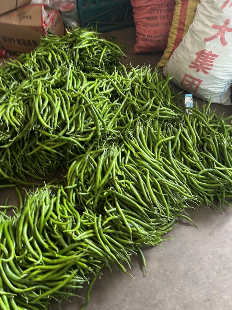 三号线…八号线