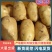 山东精品荷兰十五黄心土豆大量供应价格便宜规格全
