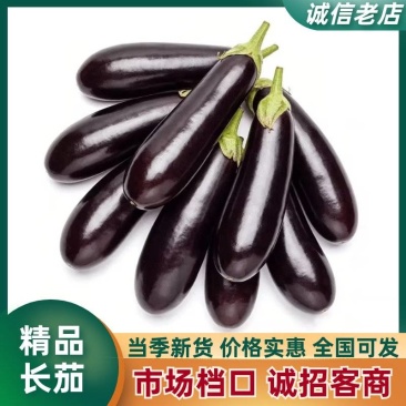 寿光长茄产地直供新鲜现摘皮薄肉厚蔬菜批发量大从优