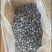 冻蓝莓通货有大有小10公斤箱装质量保证欢迎咨询