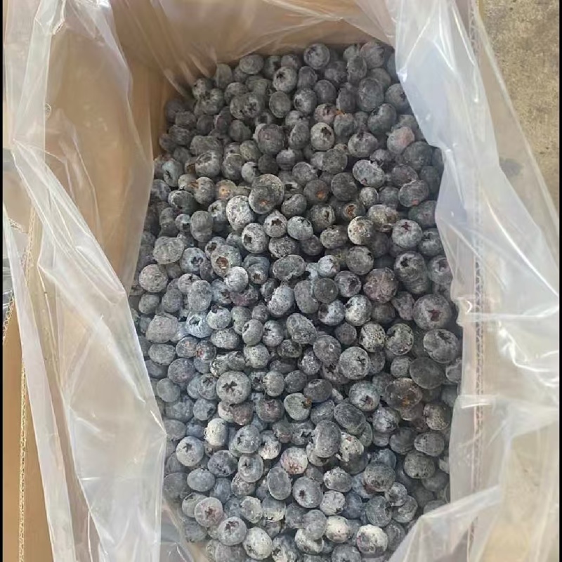 冻蓝莓通货有大有小10公斤箱装质量保证欢迎咨询