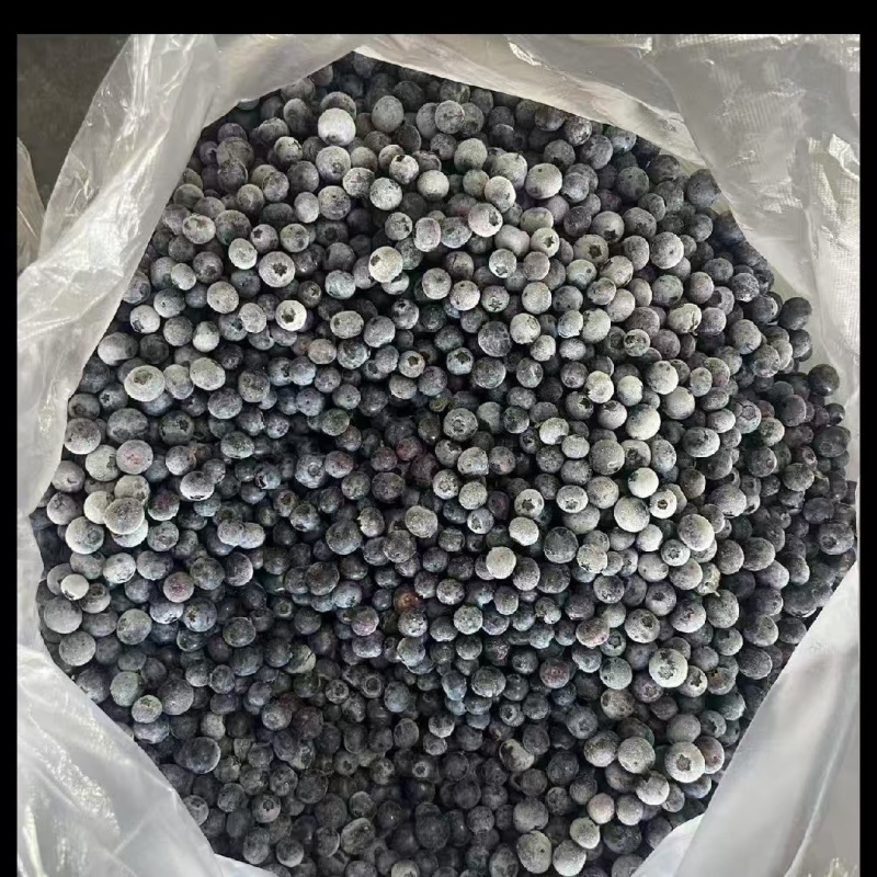 冻蓝莓通货有大有小10公斤箱装质量保证欢迎咨询