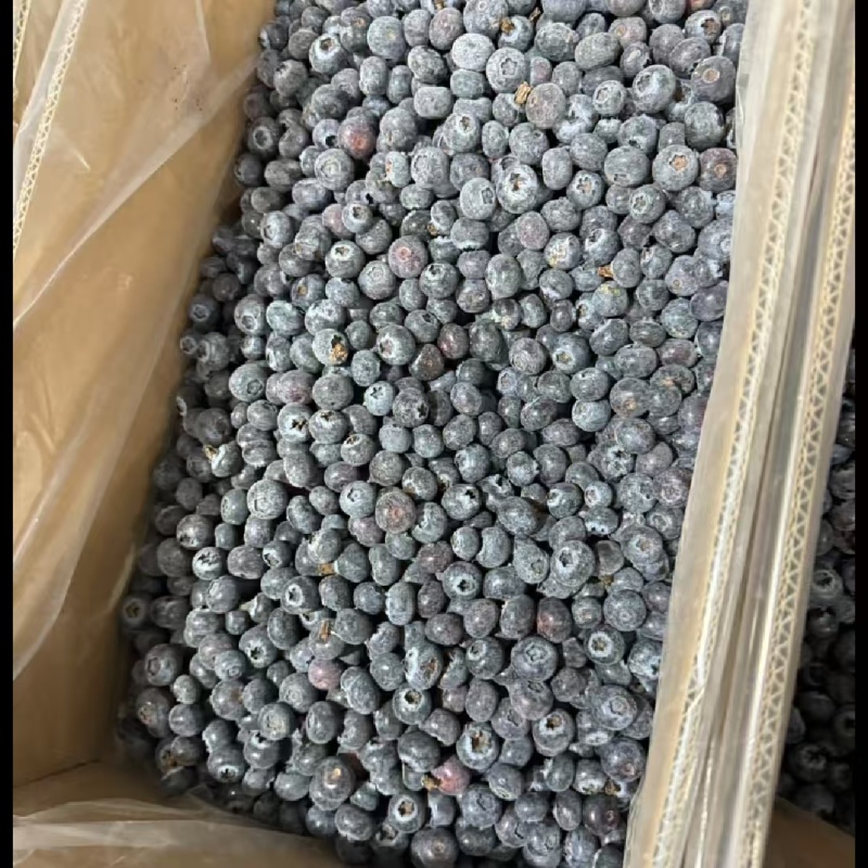 冻蓝莓通货有大有小10公斤箱装质量保证欢迎咨询