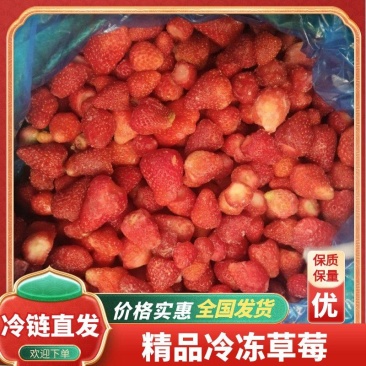 精品冷冻草莓质量保证货源充足诚信经营欢迎咨询