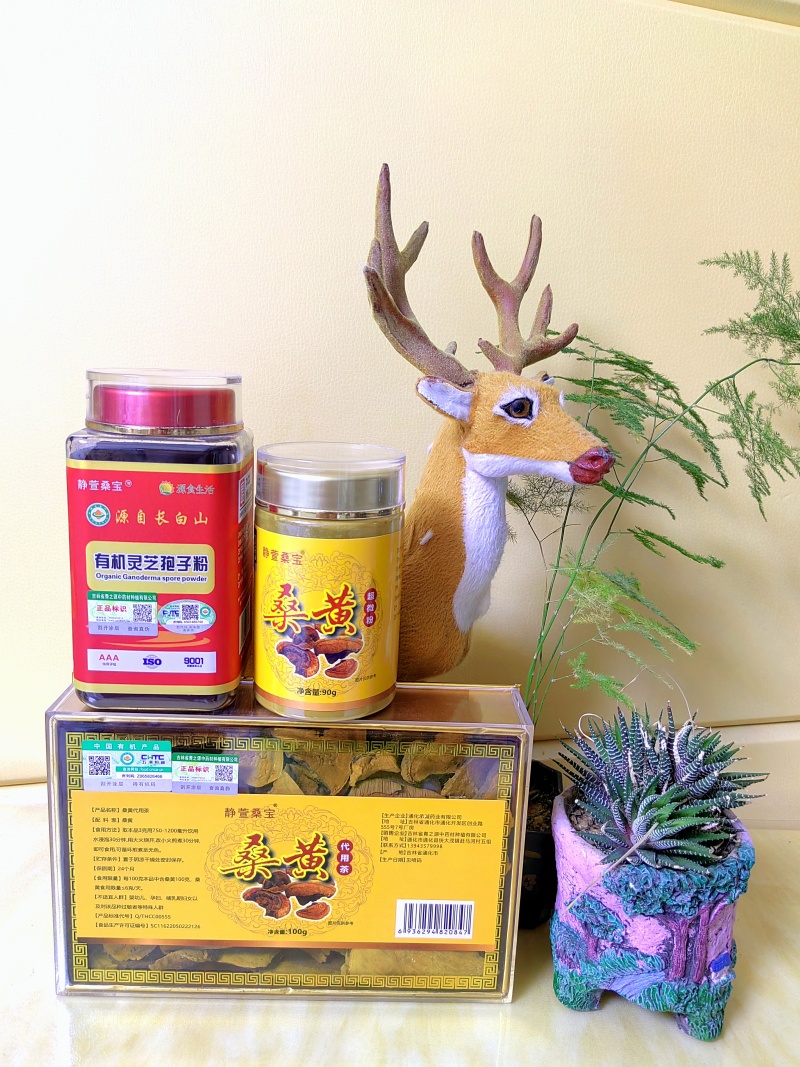 【桑黄菌】东北人工种植仿野生桑黄/精选好货，价格便宜
