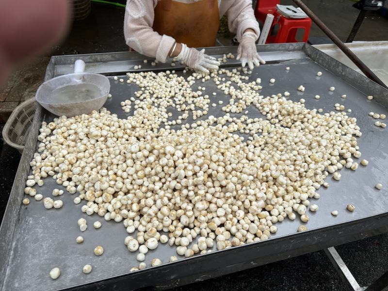 精品珍珠马蹄，广东货源，入口即化，去皮，品质保障欢迎电联