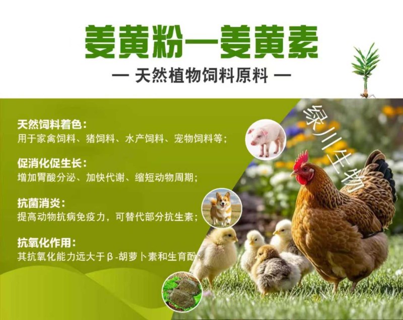饲料姜黄粉饲料着色药用价值
