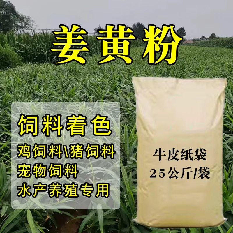 饲料姜黄粉饲料着色药用价值